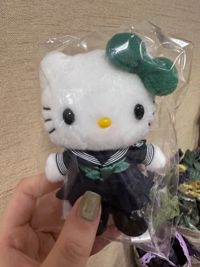 在kitty 涨价前入手了这两只，绝绝子 用竹蜻蜓也很快，而且很省心，马上就飞到国内了，差不多一个星期多就到了。