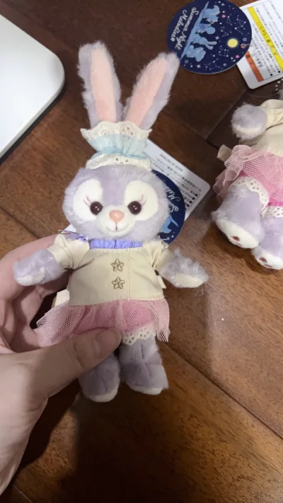 手续费便宜，物流又超级快，国际物流一礼拜就到了，购物翻译也特别好，很精确清晰，包装也很牢固，很满意的购物，而且东西很可爱！