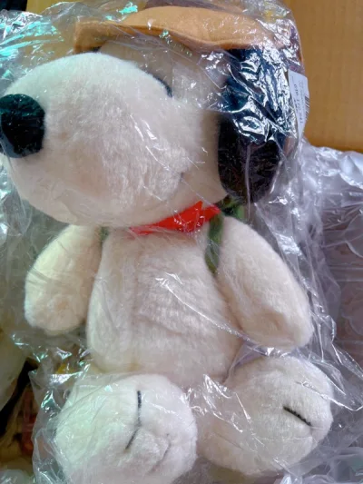 挖煤姬处理速度很快，物流速度和打包也很给力。到货后物品品相也很不错，唯一的瑕疵是骏河屋的一个玩偶有点破洞了。会继续支持挖煤姬的。 