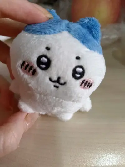 这次东西切的比较少然后就走的竹蜻蜓，虽然没有ep和ems快但是胜在价格不贵（？）大概两周左右收到了！东西一如既往包装很好，让人很安心！