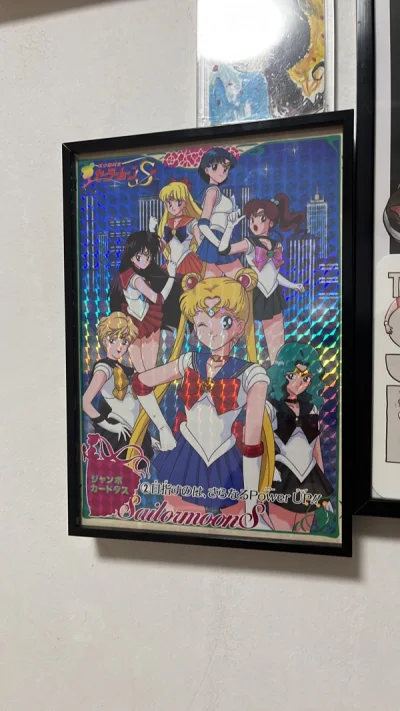 很开心的一次购物，这回买到了一张大的闪卡，真心好看，把最爱挂墙上，每天看着也很开心，其他的小东西就入了卡册了