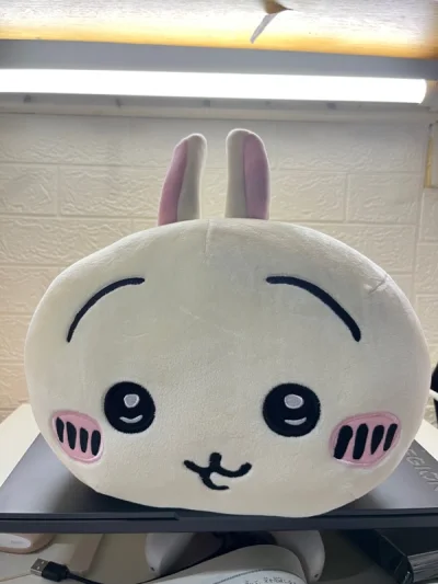 偶然知道了挖煤姬这个软件，搜索想要的东西真的非常的方便，自带中文搜索，还可以直接将页面的文字翻译，对于语言不通的我来说真的救大命。购物的流程也很清晰明了，基本上下了单就不用我操什么心，这一点真的很好。感谢挖煤姬让我买到心爱的好物，乌萨奇宝宝太可爱了！也感谢日本的卖家...