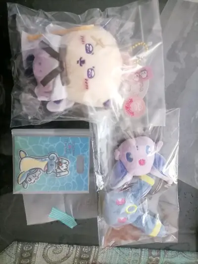 这次也是走的竹蜻蜓，平安到家啦～买了吉伊卡哇的天使海獭，和汽水伊布系列，刺绣胸针买来是装饰痛包用的，很喜欢
