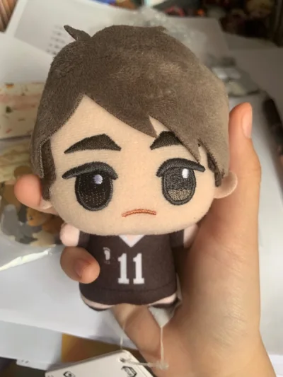 特别好！第一次用，虽然不幸被税了，但是很快，东西也都没问题。很感谢挖煤姬，下次还会继续用的！这次收到了宫治的努努还有吉祥物吧唧，宫双子迷你立，光死的立牌，还有free的画册！