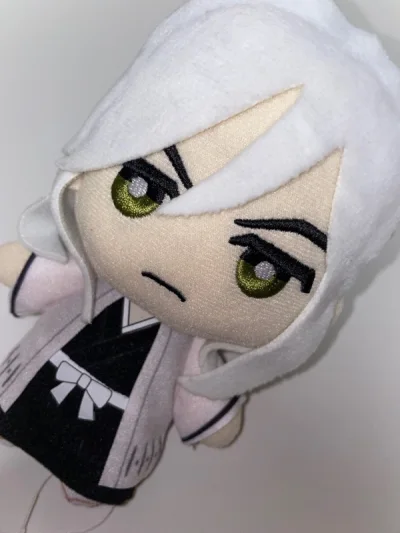 这次切了一点和之前不一样的东西，买了一个浮竹的娃娃机毛绒，真的非常可爱！
娃娃品相很好，吊牌也齐全，非常满意的一次购物。