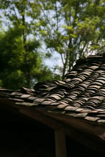 这次买了一个数码相机和一个镜头非常便宜和不错，就是稍微等了那么点时间，但是到手真的非常不错，镜头成像清晰，镜片干净无没，非常不错啊，推荐来淘相机的朋友来日淘哦