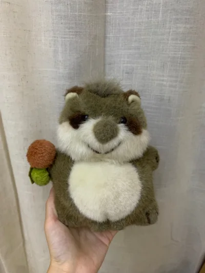 超级喜欢日制的中古动物玩偶，可爱精致。挑了比较喜欢的几只晒图(o^^o)

走的EMS，国庆耽搁了几天，总体上还是很快。