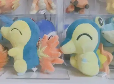 可爱的火球鼠终于收到啦感谢平台感谢挖煤姬，感谢卖家出物让我得到了喜欢的宝可梦毛绒挂件，再次感谢客服的耐心解答