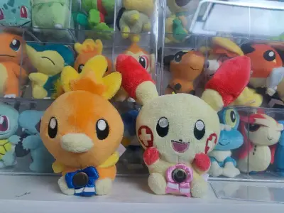 萌萌的小火鸡带着缎带可可爱爱，呆呆的负电拍拍也跟着小火鸡也带着缎带一起去参加华丽大赛哈哈，感谢平台让我收到这两只