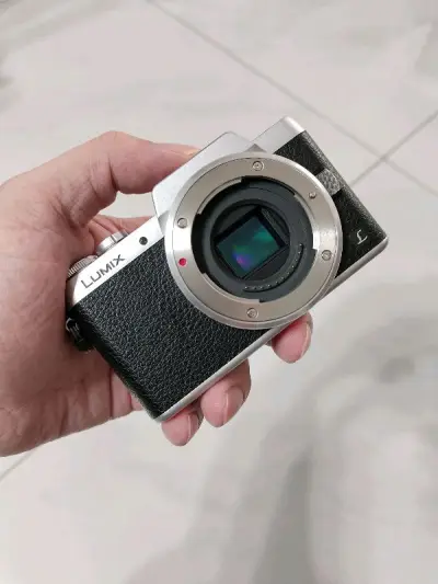 这次的购物体验依然非常好，买到了心仪已久的微单相机，这款松下的相机小巧轻便，非常适合平时游玩出片，感谢平台