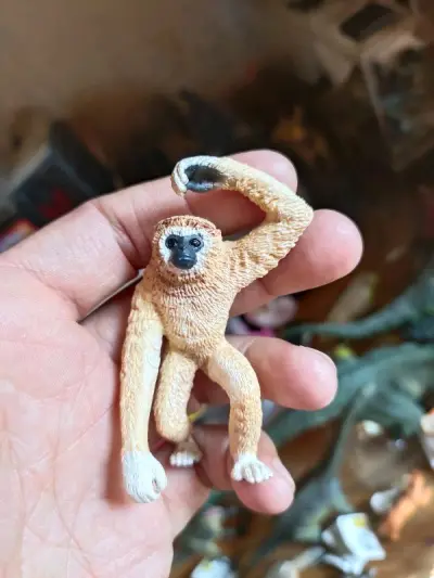 第八百多单购物体验 登记在册 实在太好了了的一套老物模型 懂的自然懂，一切尽在不言中 好久没那么爽的时候了 一次性买齐了很多老物 对于收藏玩家来说非常喜欢 就是收税有点多了 收了三百多哈哈