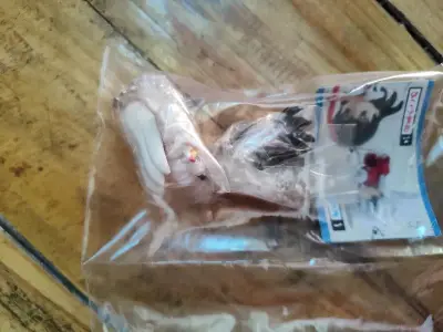 魔卡少女樱的hg扭蛋和戈薇杀生丸扭蛋买到了，收到包装的很好，都是未拆封的，非常好，继续走竹蜻蜓的一单，