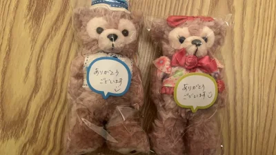 十一月份挖煤挖到了很多达菲玫玫，中古款的熊设计的真心好看！这次挖煤也很顺利，国际物流和国内物流速度非常快，海关也非常顺利！箱子的包装也很严实，没有破损。还要挖更多好价的娃！