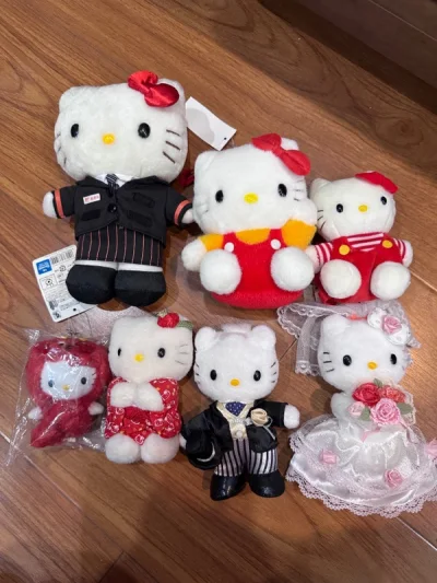 这次买到了好价kitty 而且竹蜻蜓清关挺快的。半个月就能到手。还是很满意的。比某鱼买更划算。爱啦爱啦 