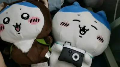 最近真的是被这些小可爱们深深洗脑了呜呜呜呜，太可爱了，物流也很给力保护的很好，除了合单审核有点慢，物流真的特别快六天就到了，今晚可以跟宝宝们一起睡了～开心