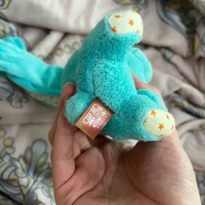 买了一些小挂件！很可爱！喜欢！价格很划算状态也都挺不错哒！是一次愉快的收物～希望以后还能收到更多可爱的宝贝