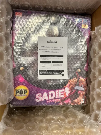 第十单安全到货，走的也是海运，速度还可以，不错到货很OK。买的pop海贼王手办和东京复仇者周边，包装严实的。