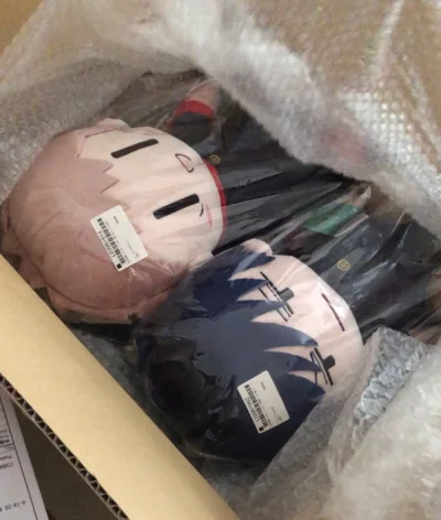 太可爱了宝宝们！EMS国庆期间也很快就到了，无痛通关！还买了两张比较大的海报，也无折痕到达了~非常感谢！