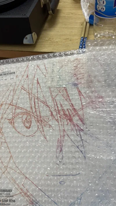 到货还挺快 但是到国内后还是发生了一些小问题 但是总体上不错 黑胶非常好非常喜欢，suki