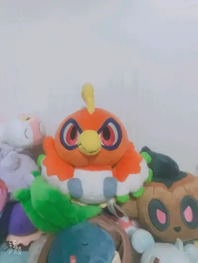 感谢挖煤姬给的这次机会让我收到了凤王和洛基亚， 这两个doll都是2005年款的正好凑一对都是硬毛的好处就是不容易变形收藏价值高