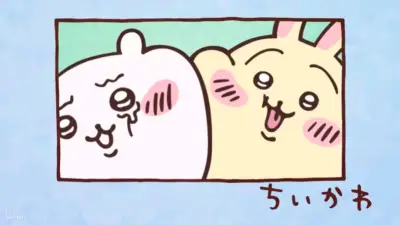 速度我感觉真的还不错，yhm 那边碰到了好人，包的特别特别好(՞ਊ՞)?
太感谢哩，放一个 chiikawa 和 yhm 贴贴