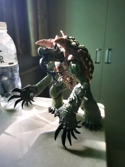 东西比想象的要大很多，收一些老物还是比较适合海淘的，就是这个拍卖日本国内邮费确实太高昂了，和国际邮费差不多