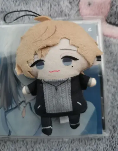 第一次购买的东西比较少，但是体验是非常可以的，物流跟进还是挺详细的。快递盒没有损坏之类的，物品完整。指偶是有用防水的袋子装，到手没有问题～超级可爱！两张CD完好，没有磕碰。