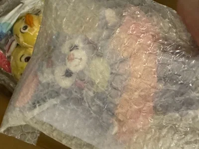 陆陆续续收到存了一些时间的可爱玩意们，这一箱有选择加固，顺利收到，非常满意?！有合理的尽量减重，期待下一个开箱啦！