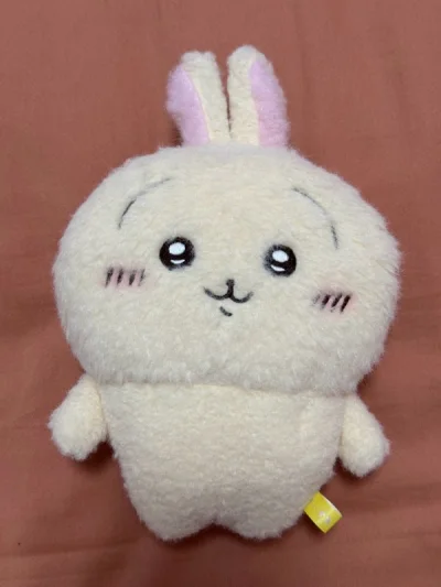 竹蜻蜓发货很慢很慢，以前五到七天可以收到，现在竹蜻蜓至少两周甚至三周左右收到，希望改进！另外挖煤姬如果有搜图实物功能一定会更方便！最后，希望挖煤姬能改进一下代购速度，最好能够和日本国内网站购买的速度一致，而不是和传闻一样有二十秒的代购时间差。总体来说，没什么问题，希...