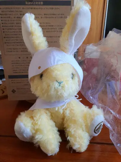 还是淘的刀剑乱舞的玩偶这次是西蓝花兔 被被是真的很可爱！
第一次走竹蜻蜓 审核花了3-4天 物流大概16天左右 还是挺快的。