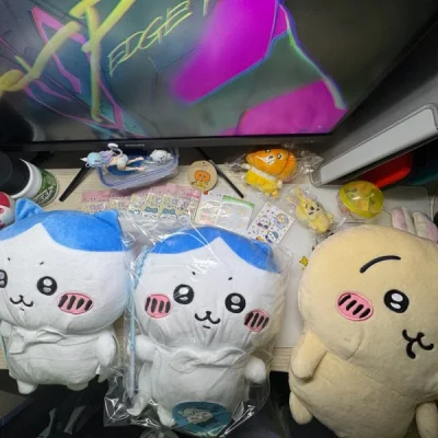 上个月合单的很多 Chiikawa 毛绒，每一只都很可爱，买了小八的 BIG 玩偶但是没想到这么大，拿快递的时侯看到这么大的箱子震惊了。南瓜兔是最可爱的，摆在桌子上，每次看到傻傻的乌萨奇心情都会变好。兔子背包也很不错（除了背带有点短之外）。感谢挖煤姬、快递员、快递公...