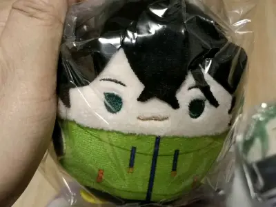 这一单是我第一次用海运寄的，二十多天左右到手，过关也很顺利。大部分都是骏河屋的，时不时逛逛骏河屋真的能淘到一些好价！用挖煤姬下单也挺方便的，尤其现在免费合单比原来多了，正适合多凑几单寄海运，还能用积分抵扣一部分运费