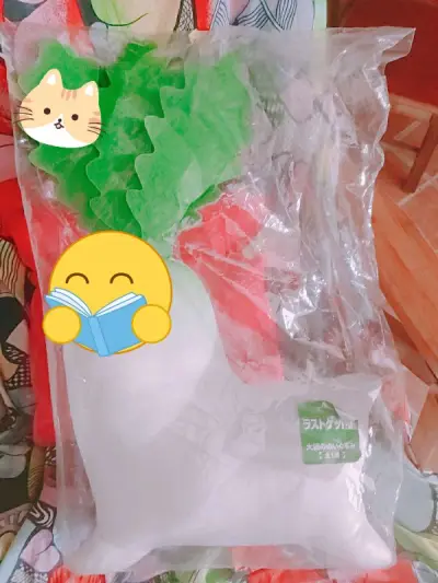 第一次走竹蜻蜓，因为玩偶比较大很担心运费也担心海关申报交税ww凑巧看到竹蜻蜓便宜就试了一次，没想到竹蜻蜓不仅实惠还因为保税直接通过了申请不用和海关battle太好了。
打包也很好包了，明明是玩偶也裹了很多气泡膜，岛内运输慢了点但是也在能接受范围内，到国内航空启程非常...