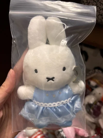 之前挖的一些小可爱w有些有吊牌有些没有.但是状态都很好.很喜欢w每次合单都挺快的竹蜻蜓真的好方便.而且外包装都有塑封