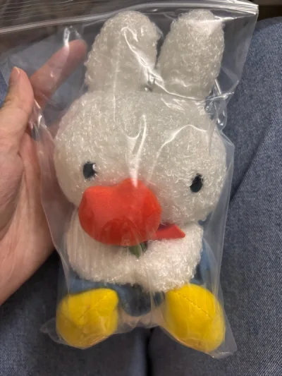 之前骏河屋免手续费的时候买的玩偶们.有个还有吊牌真的很惊喜.特别喜欢w而且状态都很好没有什么瑕疵.感谢每次都这么方便的软件～