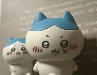 收到了期待已久的小八 还有kitty也很可爱！超级值
就是现在合单的速度稍微有点慢 如果可以的话希望合单+发货还能稍微再快一些