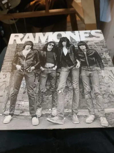 雷蒙斯（Ramones）组团于1974年，为成立于美国纽约皇后区的摇滚乐队，由四名成员组成，主要风格是朋克，被视为纽约朋克曲风的代表者。持续至1990年代中期，该团仍活跃于流行音乐界。