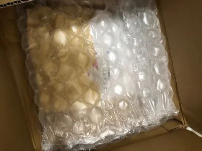 最近竹蜻蜓真的很给力，审核速度对比之前真的有在改进，给挖煤姬好评！我的竹蜻蜓嗖嗖一单接一单，超开心！