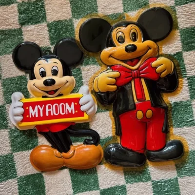 挖煤姬的包装很好，蛮大的塑料制很脆弱，好几层的泡沫纸保护着，很用心！
本来想用来装饰墙面的，可惜不太适合我的墙面就闲置…
虽然两个壁挂好价不高，但是由于我没有看清楚介绍哭哭，不能走竹蜻蜓，所以最后邮寄时才发现运费并不低，和入价差不多…哭了