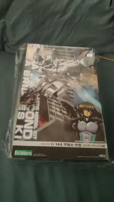 好帅，盒子比我想象中要新很多，这种冷门还容易贵的拼装最后能拿下对我来说真是非常幸运了，等剩下muvluv拼装在和这个一样回来我就圆满了