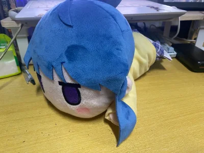 第三次在挖煤姬购物了，这次买了一堆摇曳露营的周边下单很快，买东西很方便，物流选择竹蜻蜓十几天就到了，运费很便宜，包装的很好，东西都没有问题，继续买买买！