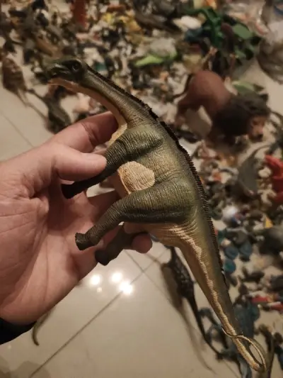 第八百多单购物体验 登记在册 非常好非常感谢卖家的东西 美中不足暴龙被物流摔坏了 如果卖家能好好打包东西就好了 不知道是卖家原因还是平台原因 希望都能把这些恐龙模型独立包装 谢谢