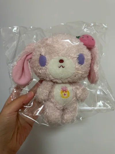 本次购买了两个玩偶公仔，状态很好，物流依旧选了包税的竹蜻蜓专线。总共耗费十六天，感觉速度上还是蛮不错的，都是一些冷门的小毛绒，自我收藏挺喜欢的！