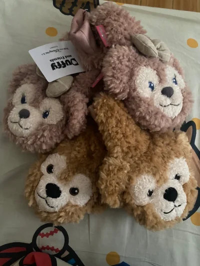 在小红书种草了，闲鱼差不多200一对太贵了，在挖煤姬一搜价格差好远，便宜很多，立刻下单ems 很快到达了，开心。