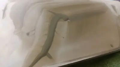 不错的卖家，东西好用，日本天然砥石确实好东西，本次购物体验满分，等待半个月差不多收到货物。不多说什么了，自己看图片。哈哈哈哈哈哈哈哈哈哈哈哈