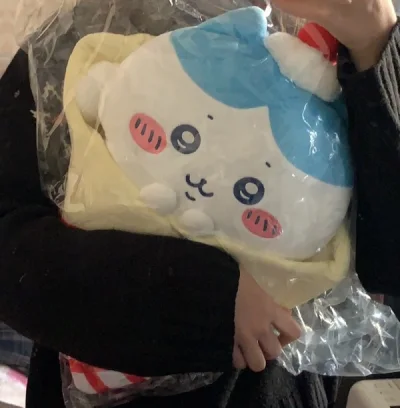 出货看到实物图后实在忍不住诱惑，第一次头铁点大号的毛绒，国际运费真的好狠，下单的时候没注意不可选竹蜻蜓，着急想要还是点了ems，但是好在安全下车，好可爱☺️