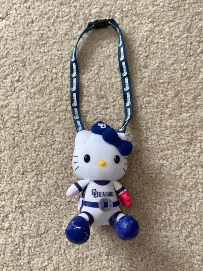 丝绒质地kitty真的很有质感 更适合秋冬！万圣节小黑猫真的很可爱呀！异色kitty也很好搭包包！货值不贵的用竹蜻蜓超方便！