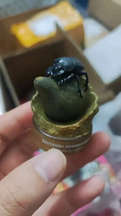 这次主要淘了一些海洋堂的中古老物，只能说海洋堂不愧是海洋堂，初中学的课文立体化了，每一个都很精致，细节超足！