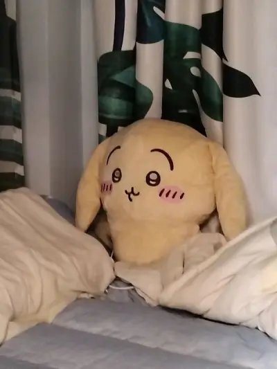 真的太爱垂耳兔了，这个大小，这个可爱的脸?这次也顺利收到了，虽然邮费爆炸但是因为太可爱了所以原谅了一切。