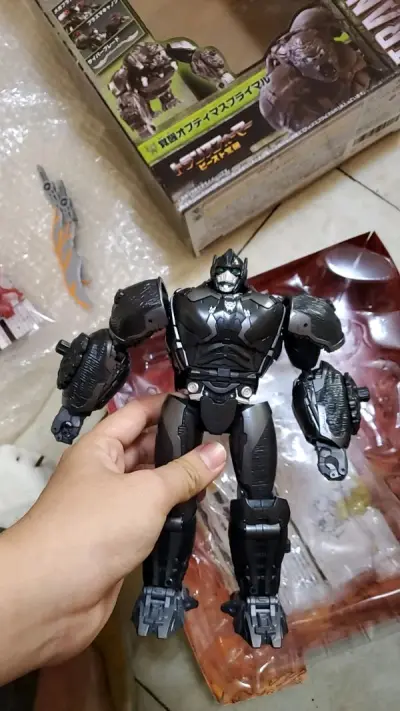 这次看到日版独占的大猩猩真是扎实 拍了之后很快的代购了 发货速度很快 国际快递是我选择的是竹蜻蜓快递 价格便宜 打包的好 还会再买